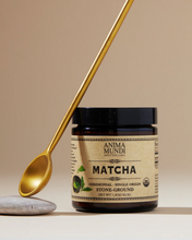 Load image into Gallery viewer, A jar of Anima Mundi ceremonial matcha tea with a golden spoon resting against it on a beige background.
